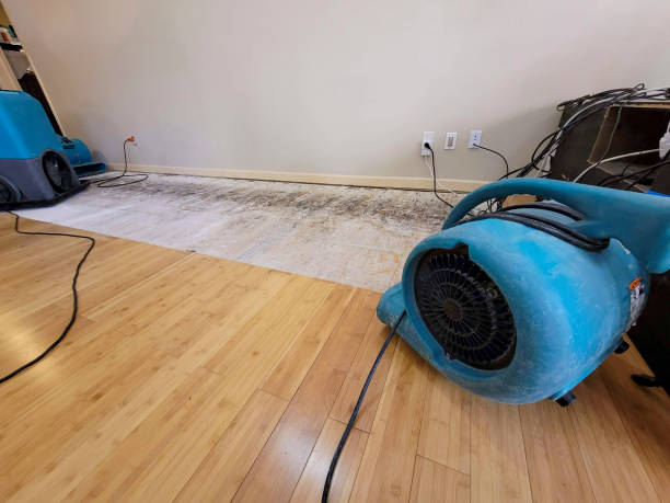 Professional Basement Flood Cleanup technician working in De Soto, KS
